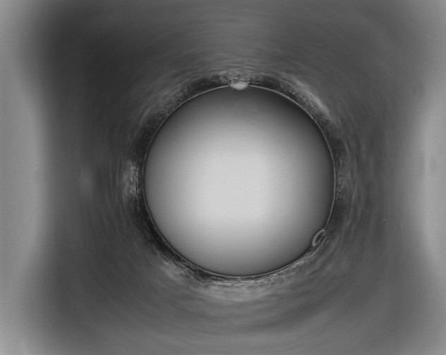 X0000116620025200912181314