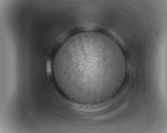 X0000116620026200912181314