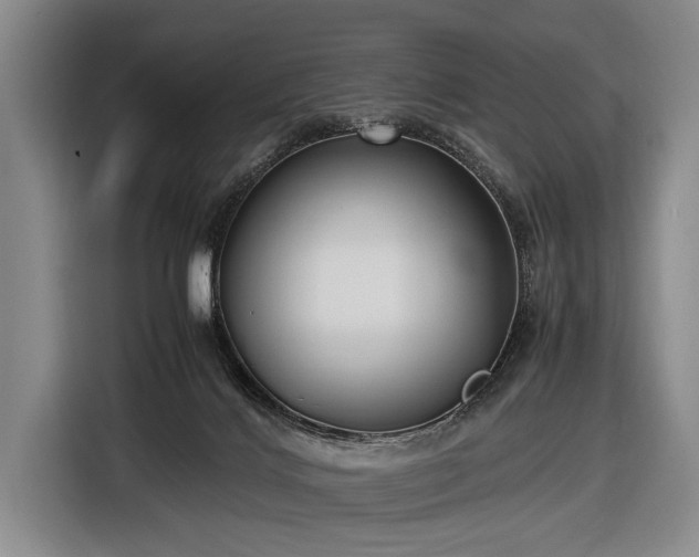 X0000116620028200912181314