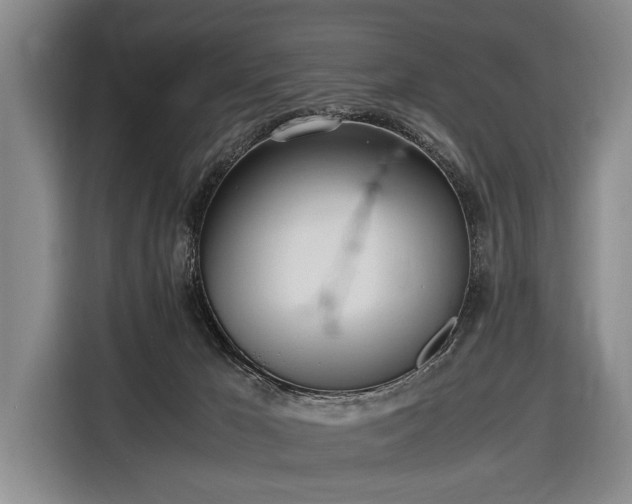 X0000116620029200912181314