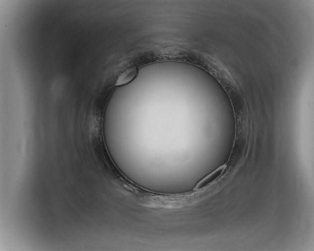 X0000116620033200912181314