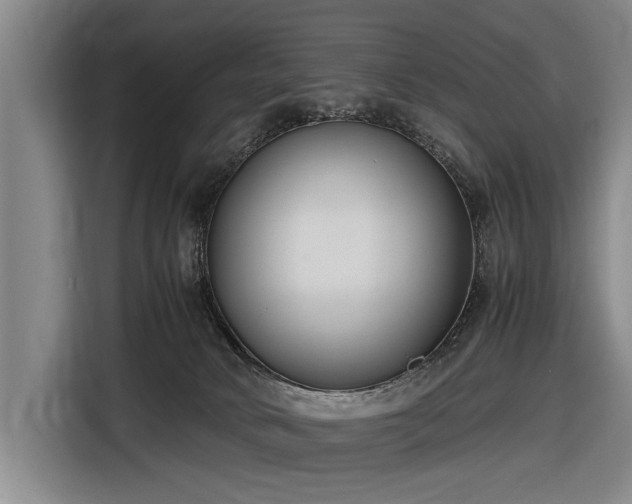 X0000116620034200912181314