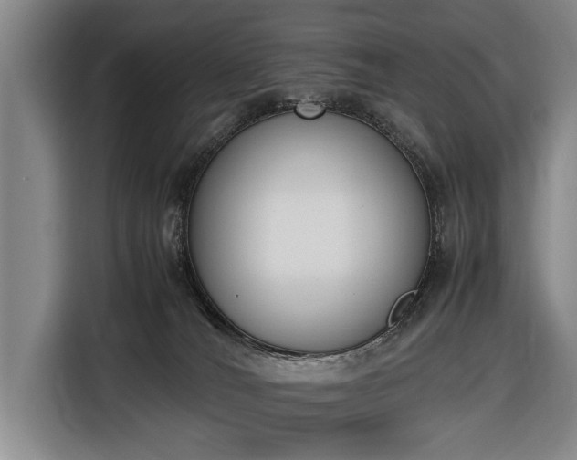 X0000116620036200912181314