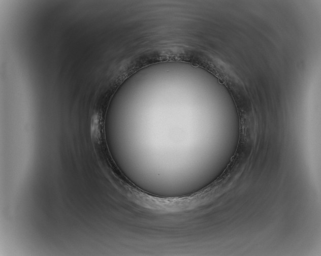 X0000116620038200912181314