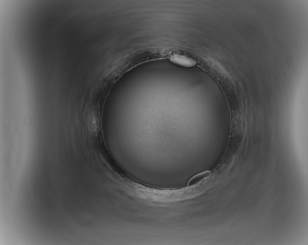 X0000116620039200912181314