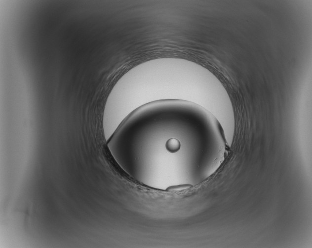 X0000116620043200912181314