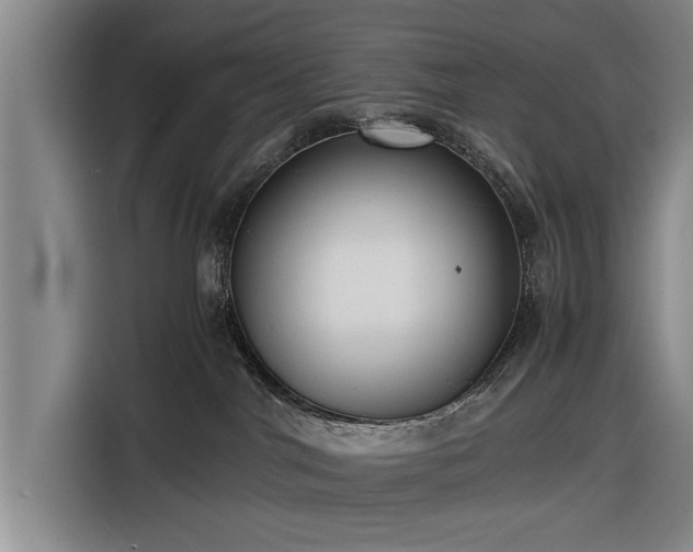 X0000116620044200912181314