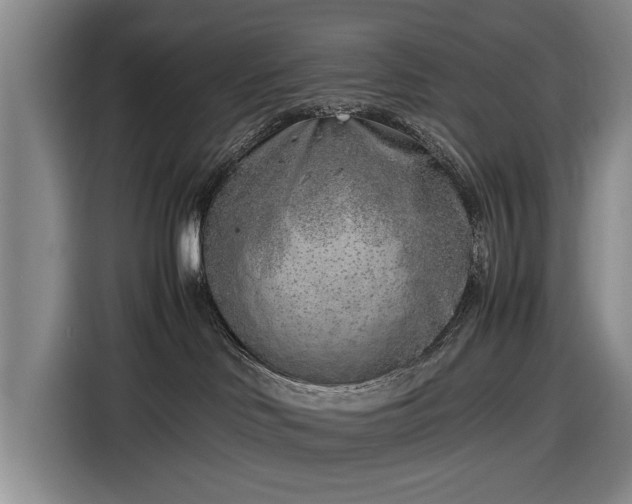 X0000116620046200912181313