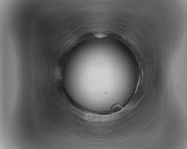 X0000116620048200912181313