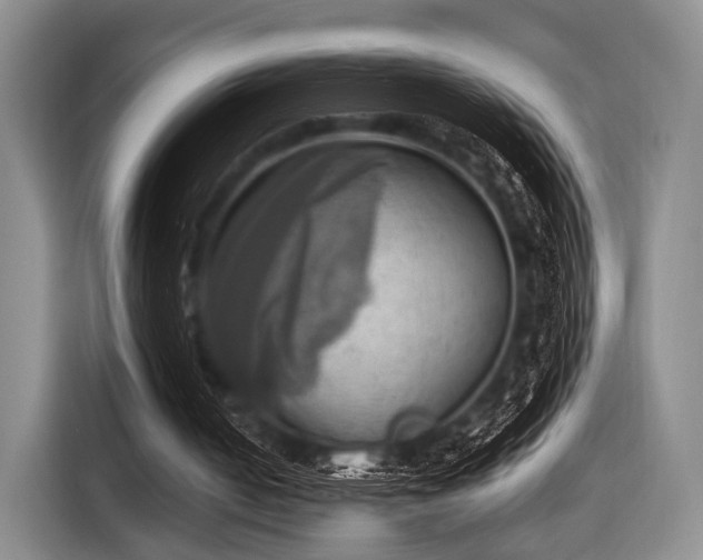 X0000116620050200912181313