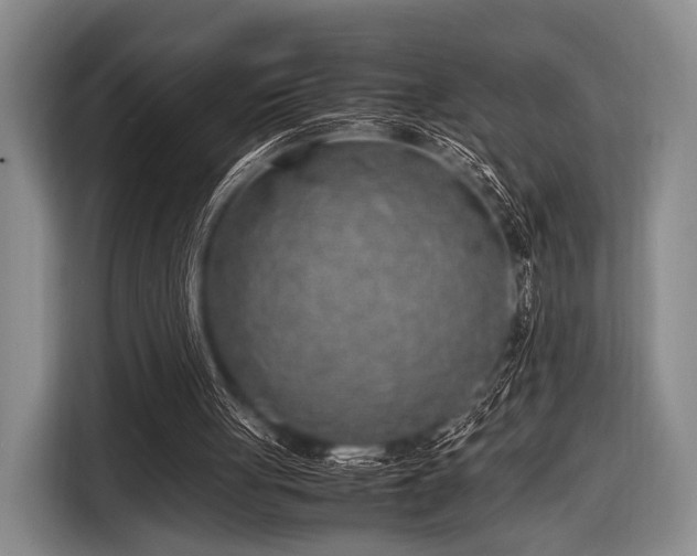 X0000116620051200912181313