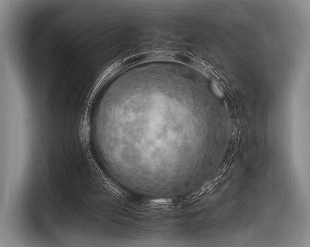 X0000116620053200912181313