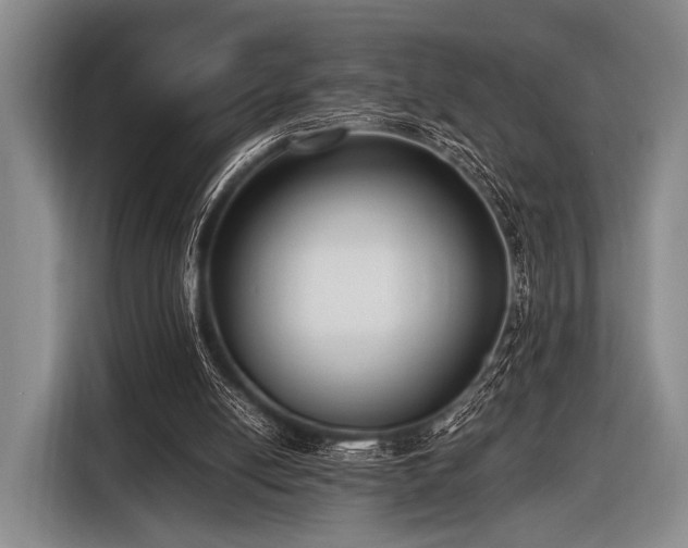 X0000116620054200912181313