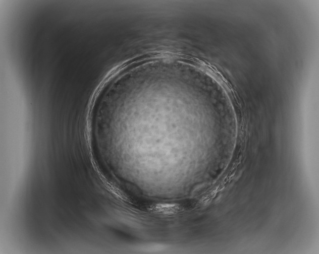 X0000116620055200912181313