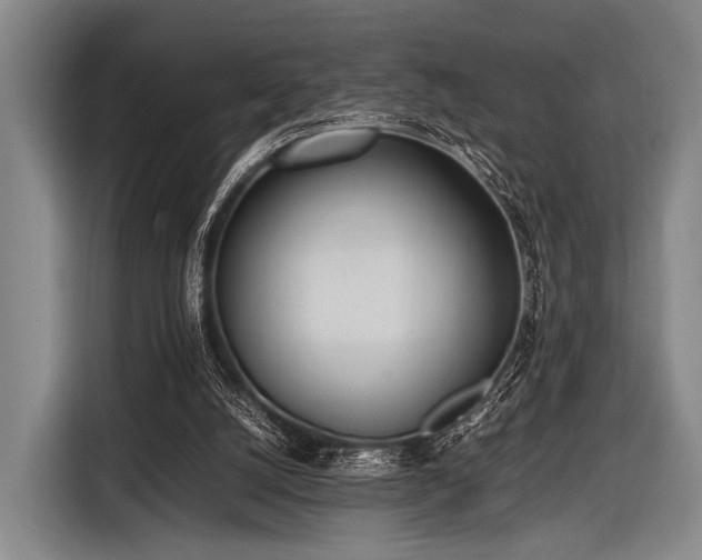 X0000116620056200912181313