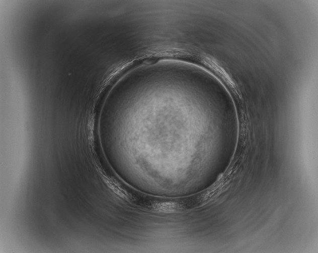 X0000116620058200912181313