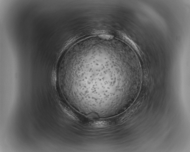 X0000116620059200912181313