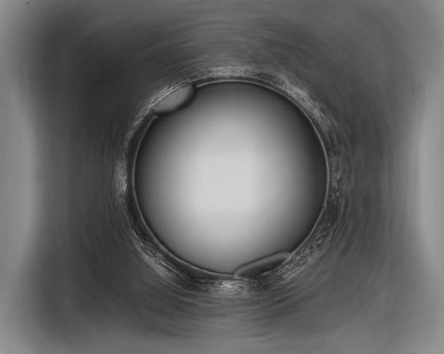 X0000116620060200912181313