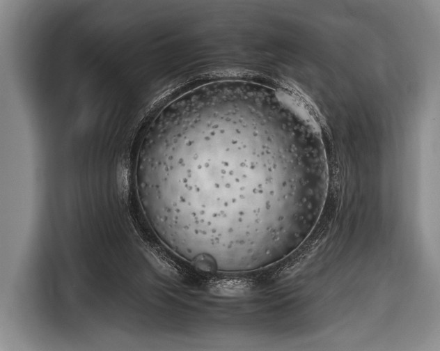 X0000116620063200912181313