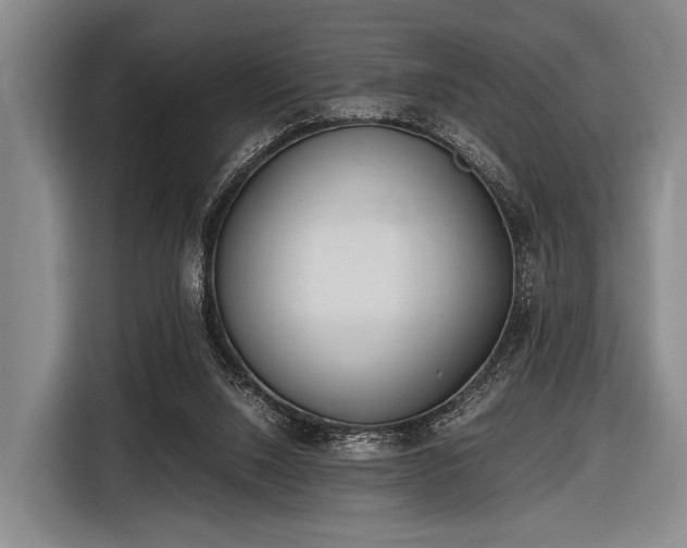 X0000116620064200912181313