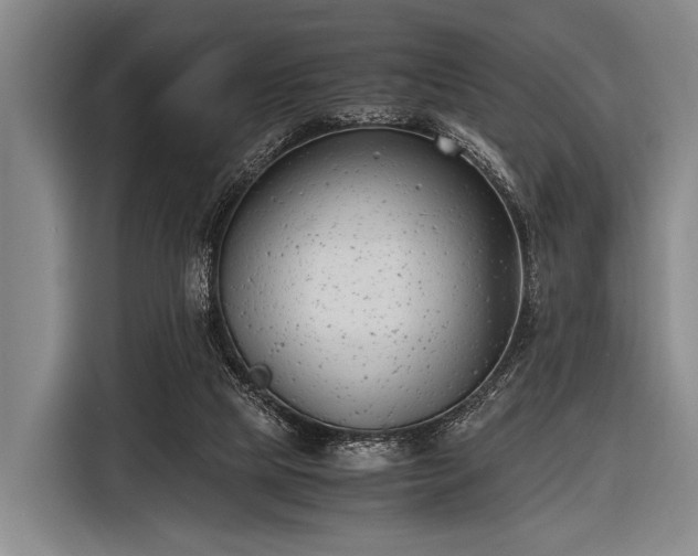 X0000116620065200912181313