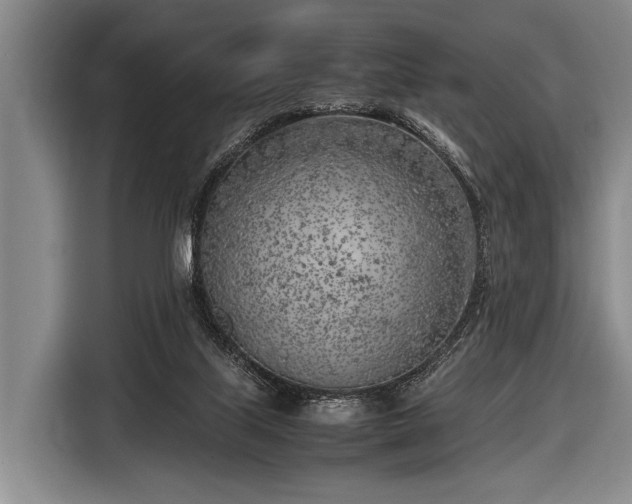 X0000116620067200912181313