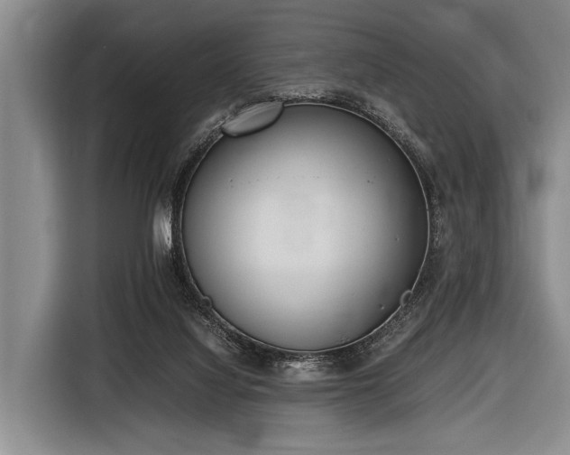 X0000116620068200912181313