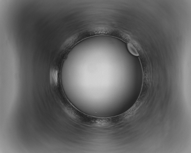 X0000116620070200912181313