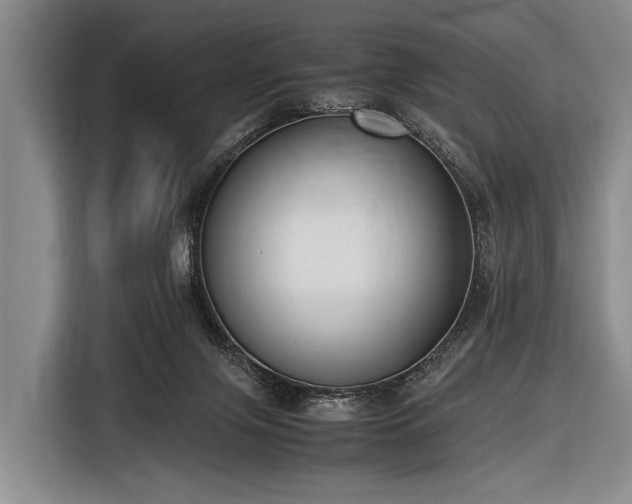 X0000116620071200912181313