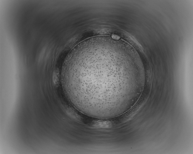 X0000116620073200912181313