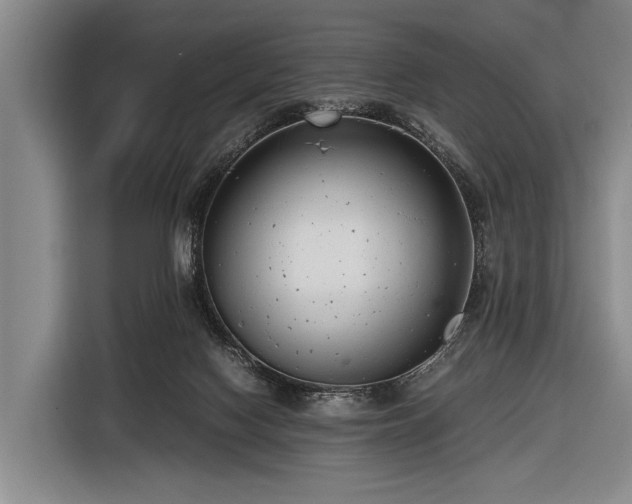 X0000116620074200912181313