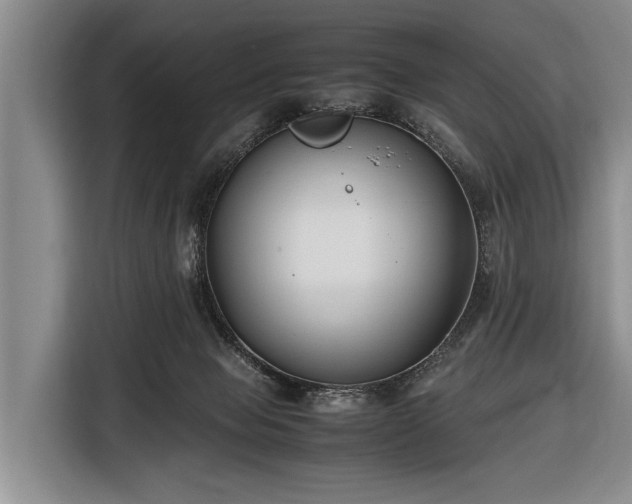 X0000116620077200912181313