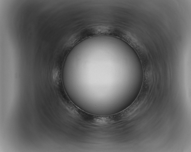 X0000116620079200912181313