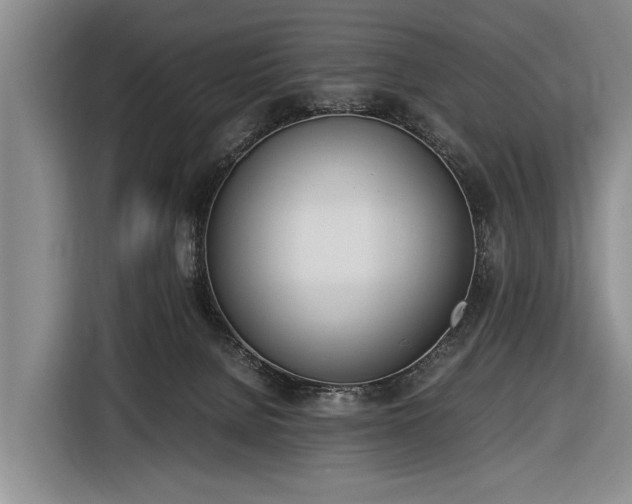 X0000116620080200912181313