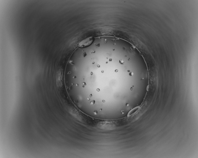 X0000116620082200912181313