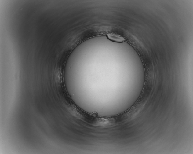 X0000116620083200912181313