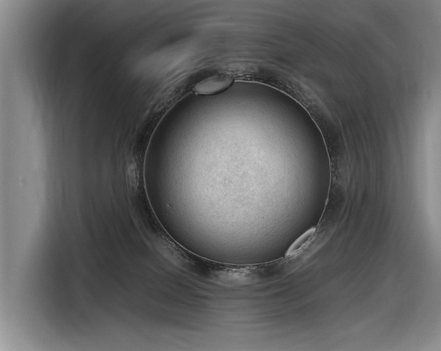 X0000116620086200912181313