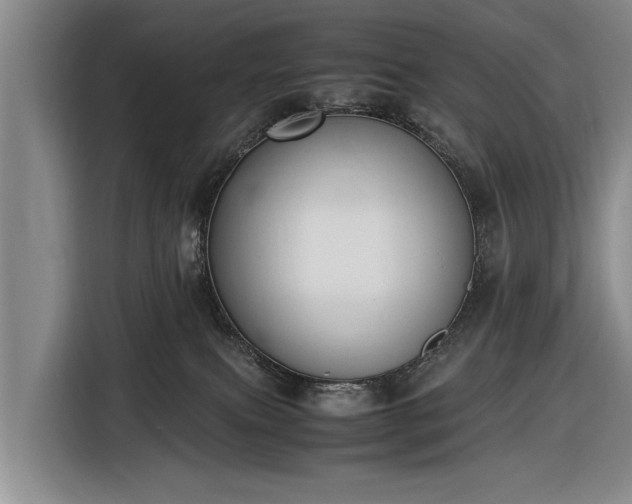 X0000116620087200912181313