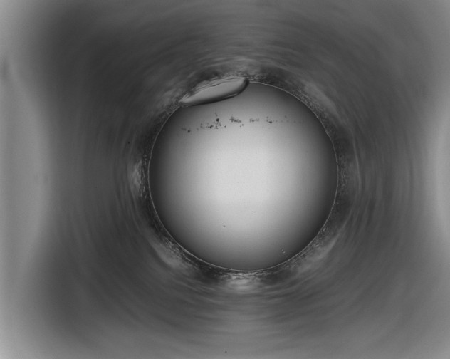 X0000116620088200912181313