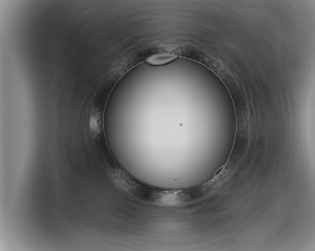 X0000116620090200912181313