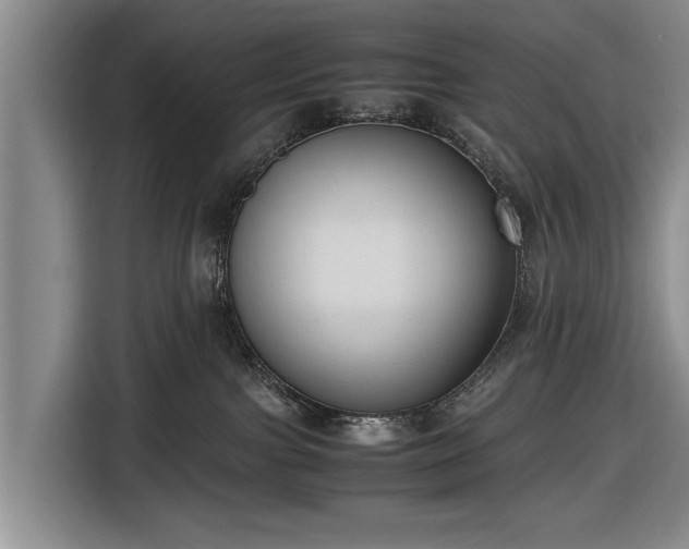 X0000116620091200912181313