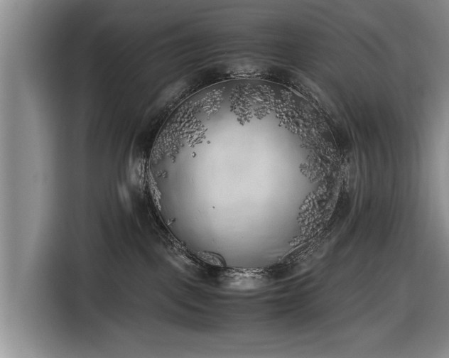 X0000116620093200912181313