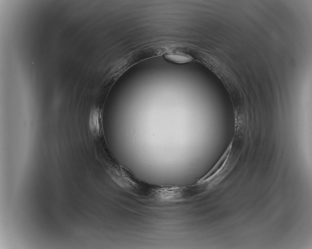 X0000116620094200912181313