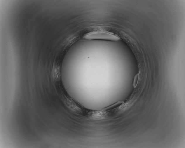 X0000116620096200912181313