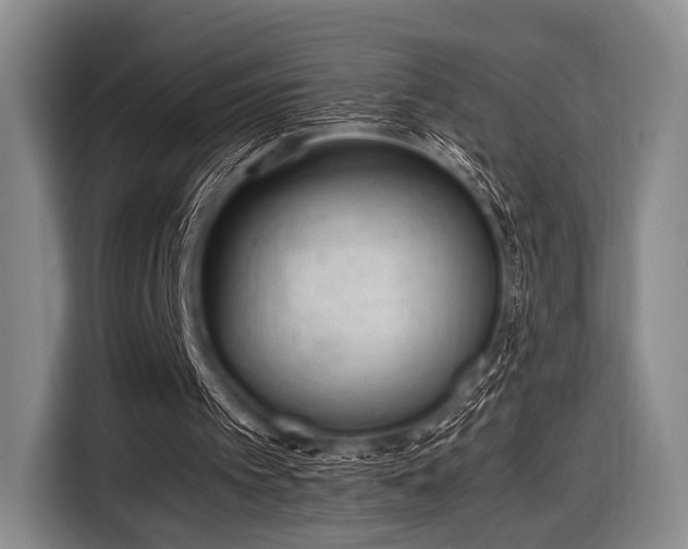 X0000116620097200912181313