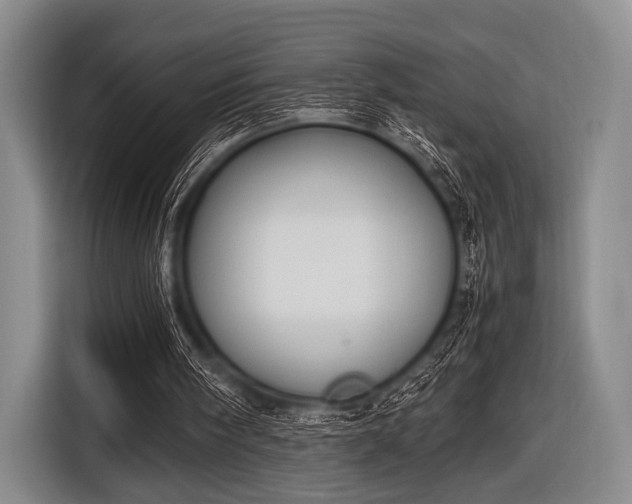 X0000116620098200912181313