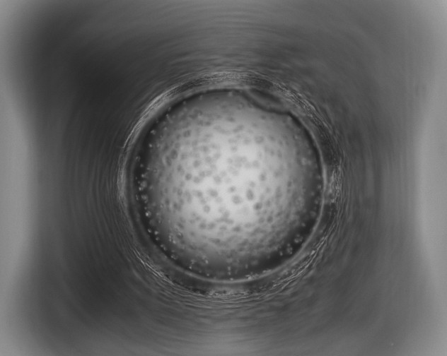 X0000116620099200912181313