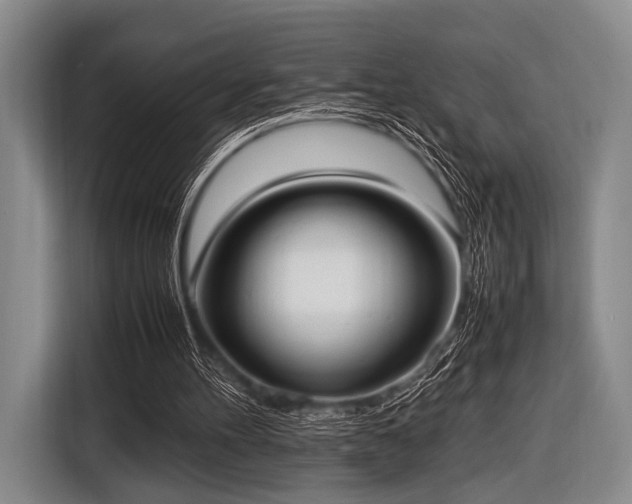 X0000116620100200912181313