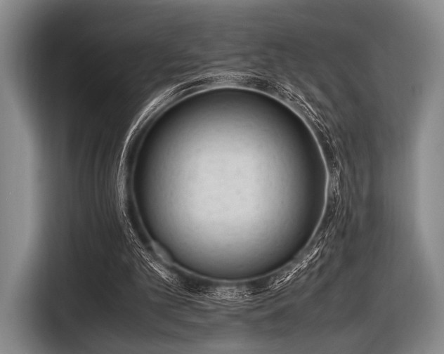 X0000116620101200912181313