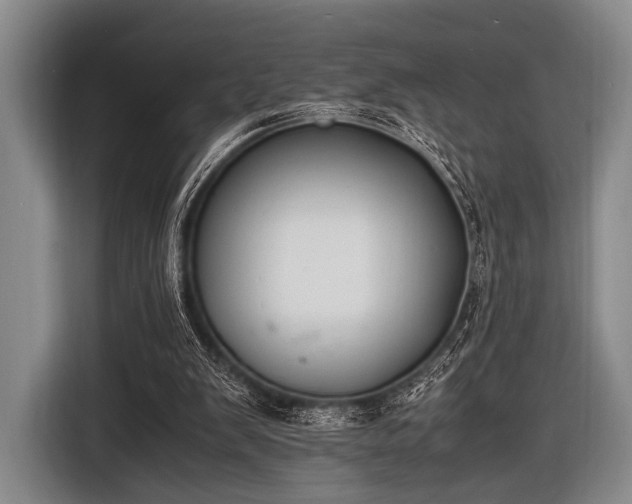 X0000116620103200912181313